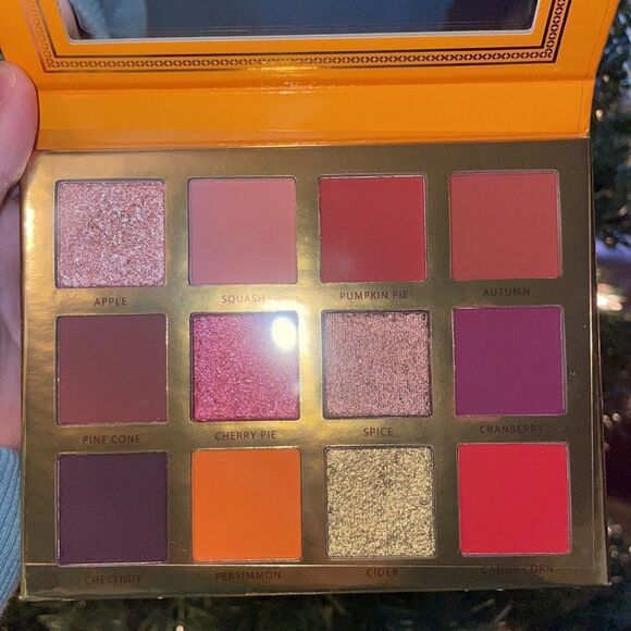 Ace Beaute Falling For You Eye Shadow Palette favorite Fall shades - Picture 6 of 7